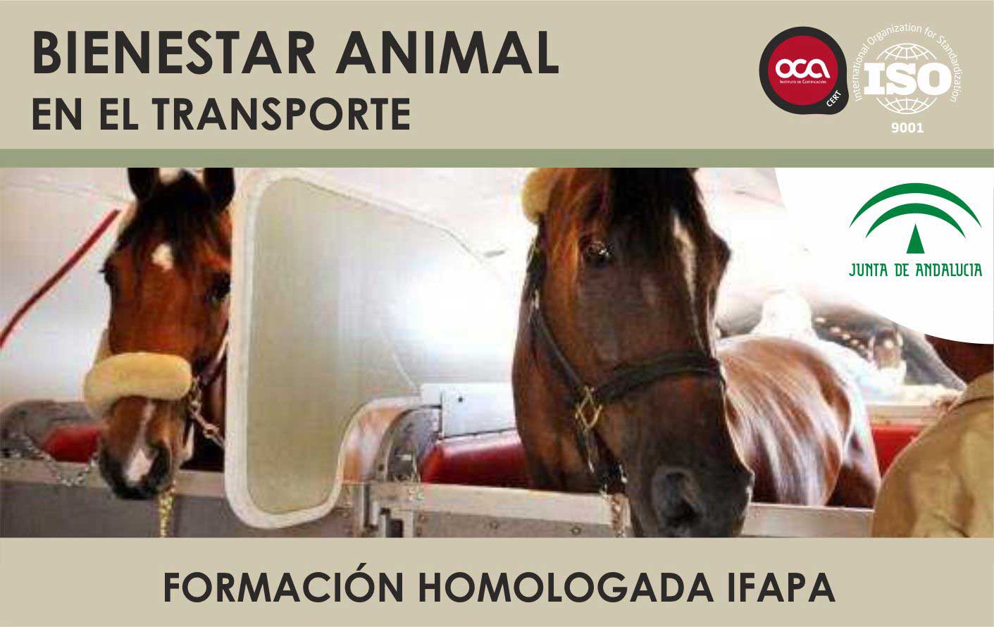 Curso de Bienestar Animal en el Transporte. Curso Oficial