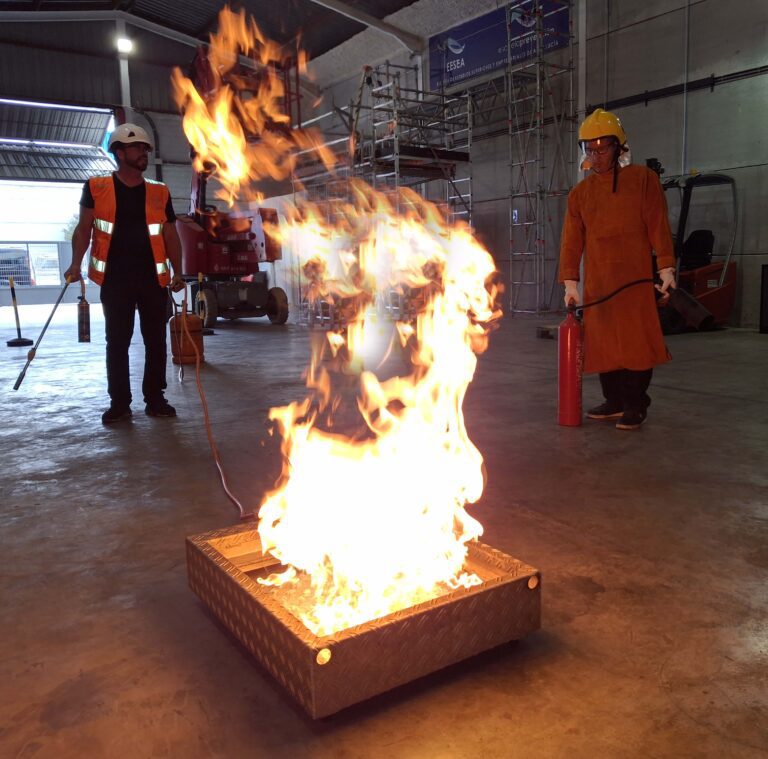 INCENDIOS 5
